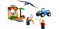 LEGO JURASSIC WORLD La poursuite du Ptéranodon 2022